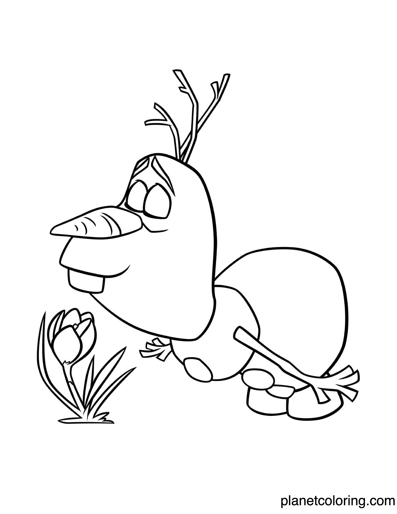 Olaf smelling flower