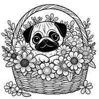 Pug in a basket of flowers