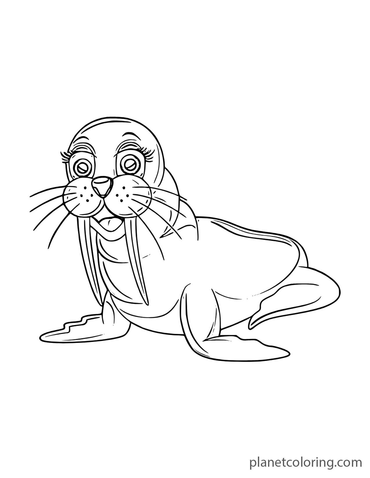 Sea lion with big eyes