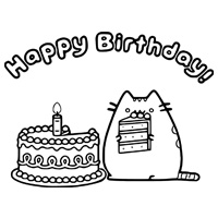 Birthday cat and cake