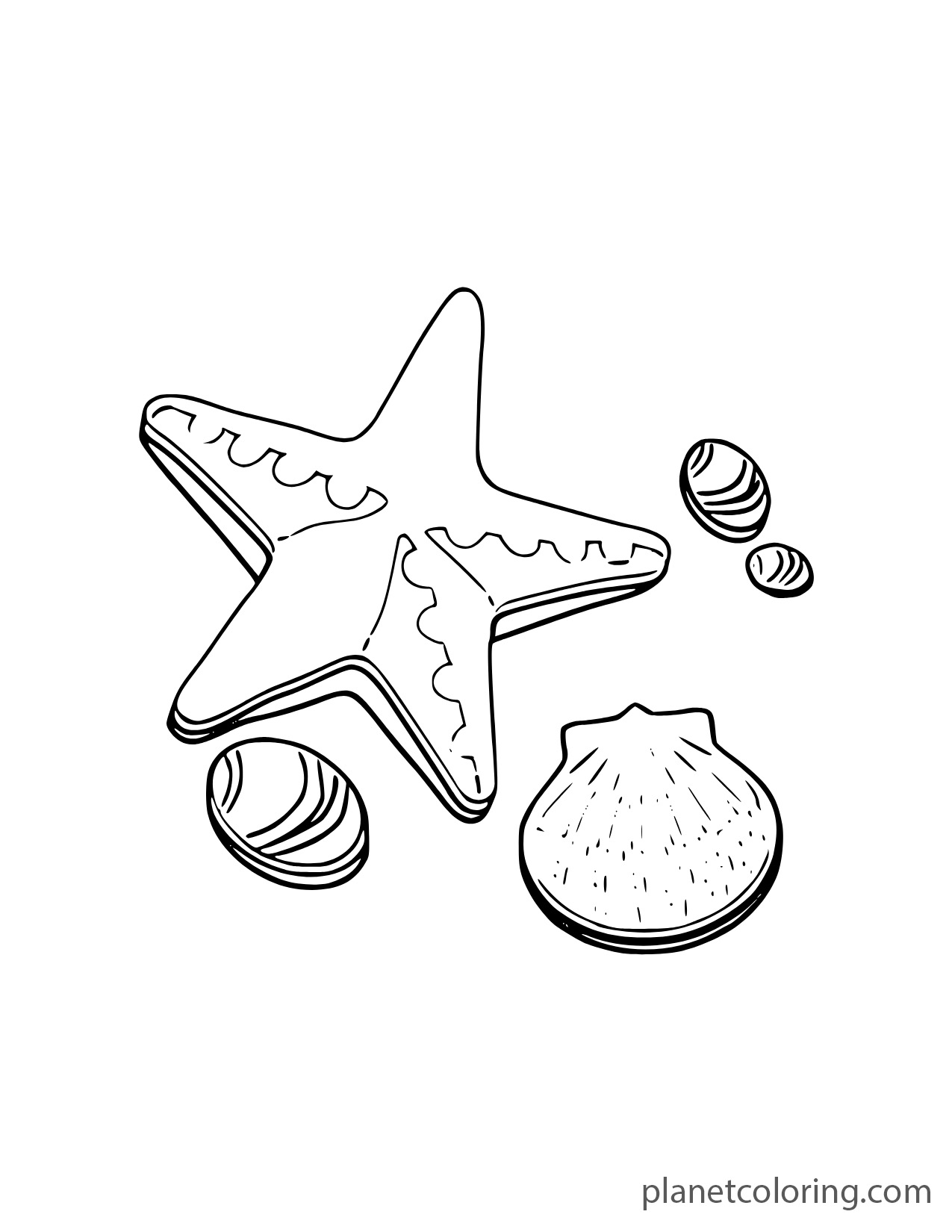 Starfish with seashells
