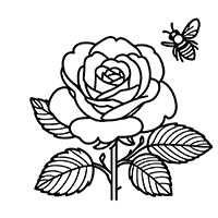 Rose and a Bee