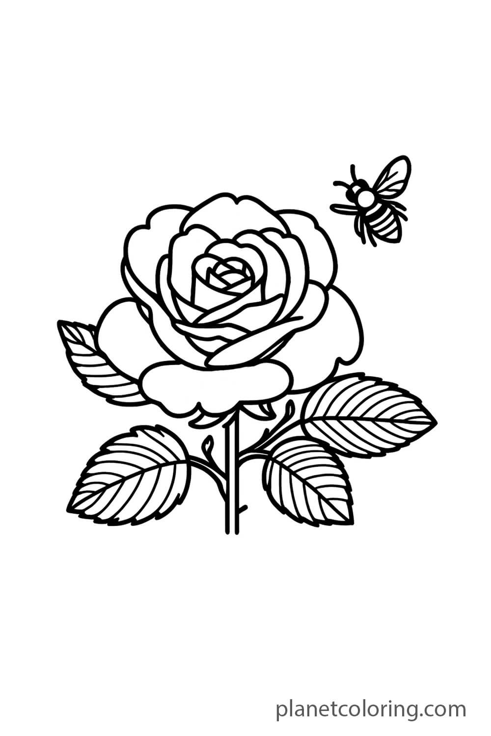 Rose and a Bee