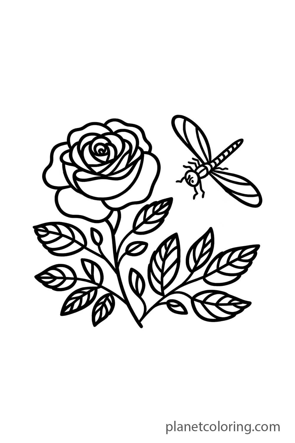 rose and dragonfly