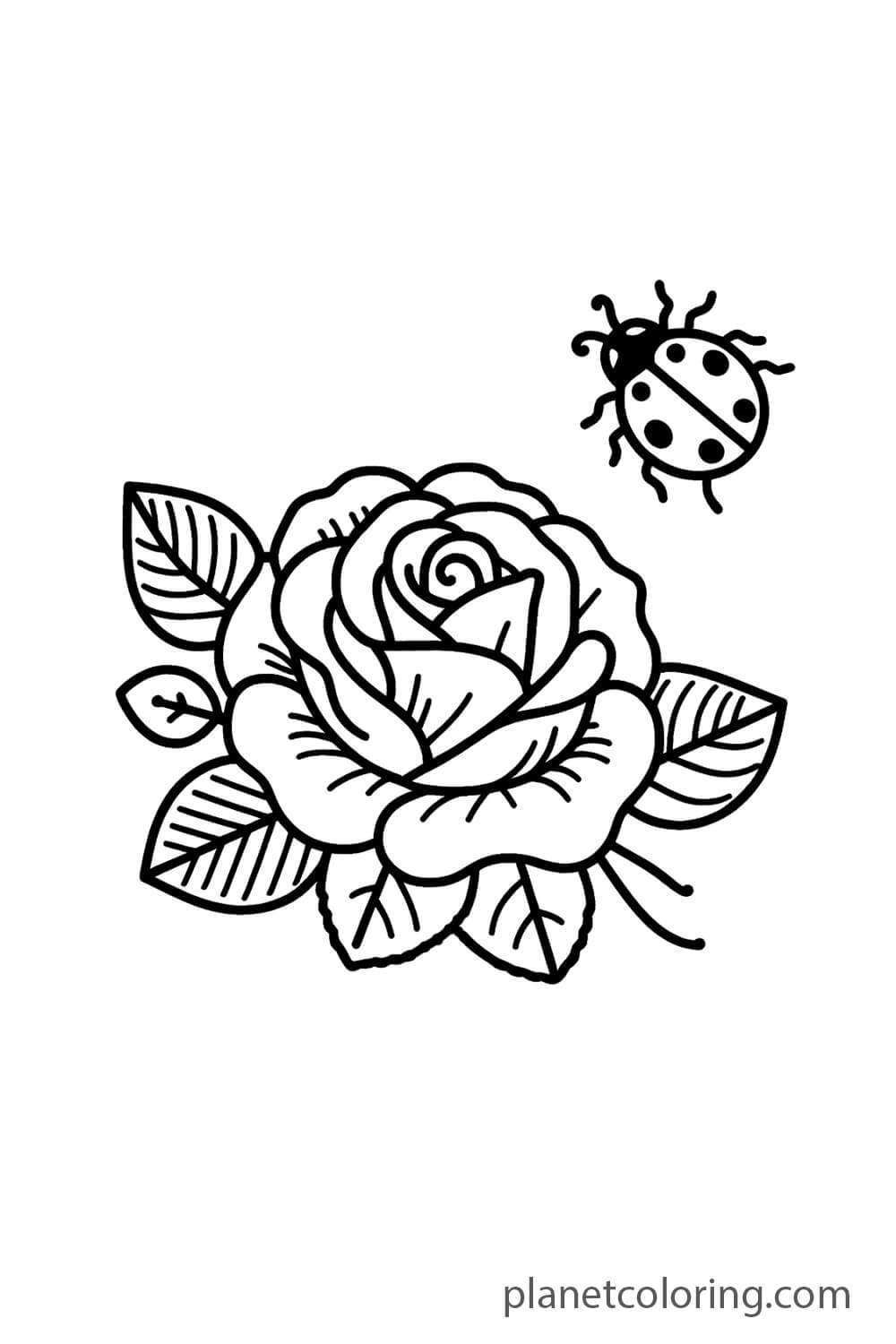 Rose and Ladybug